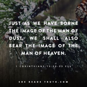 image of man of heaven_corinthians-bible-quotes